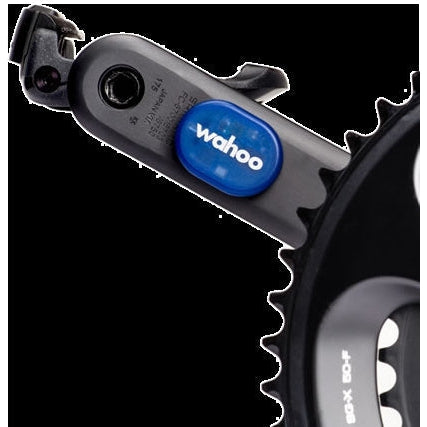 Wahoo bolt deals cadence sensor