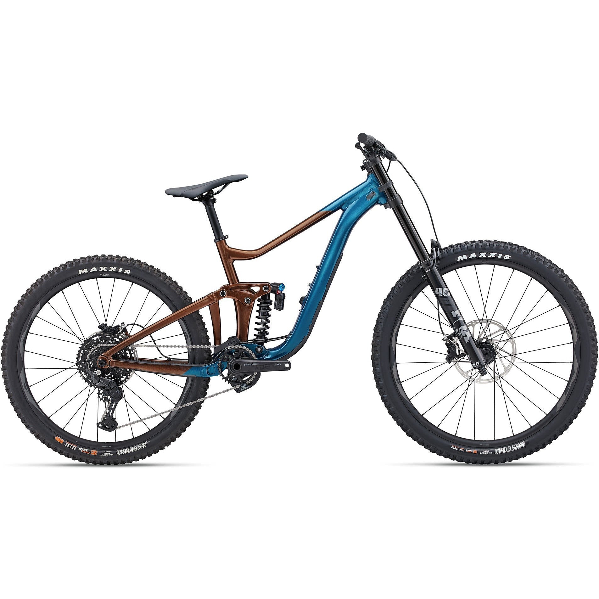 Giant 2024 Reign SX Mountain Bike